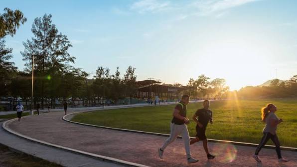 Jogging & Cycle Tracks